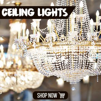 Ceiling Lights