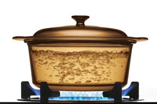 Visions 5 Litres Covered Dutch Oven