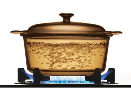 Visions Covered Glass Stockpot 3.5 Litres