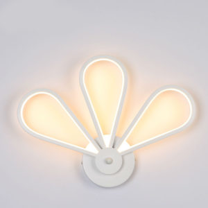 30W LED Wall Lamp