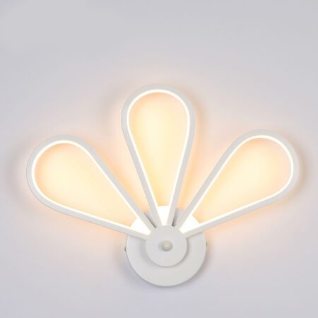 30W LED Wall Lamp