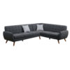 Ash Black Modern Sofa