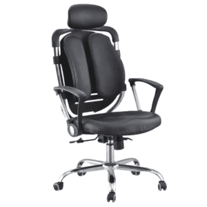 Spine Align Executive Office Chair