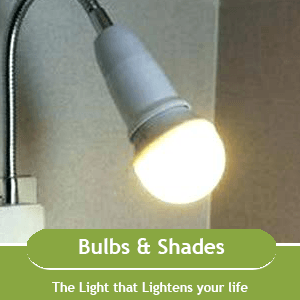 Bulbs & Shades