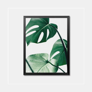 Botanic Framed Wall Art