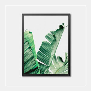 Green Plant Wall Art