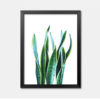 Colored Aloe Wall Art