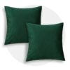 Green Square Throw Pillow