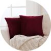 Red Square Throw Pillow