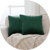 Green Square Throw Pillow