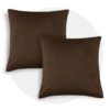 Brown Square Throw Pillow