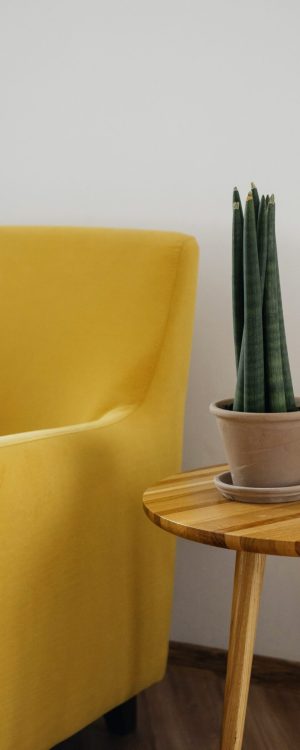 pexels-ksenia-chernaya-3965520