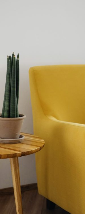 pexels-ksenia-chernaya-3965520